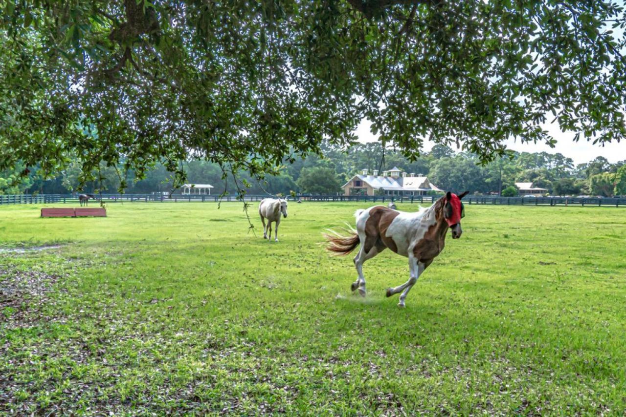 Pet Friendly! 503 Plantation Club Walk To Pool Sleeps 6 Sea Pines Villa Hilton Head Island Exteriör bild